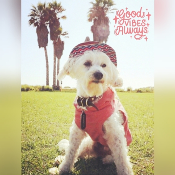 Adidas men's ultraboost 21 running shoes Solar Yellow FY0848 - Picture 13 of 13